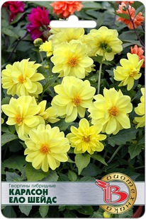 �������� ��������� ������� ��� �����