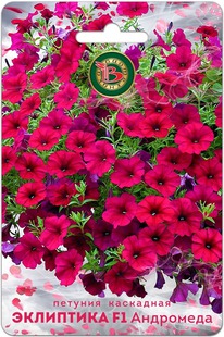 ������� ��������� ��������� F1 ���������