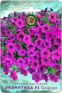 ������� ��������� ��������� F1 ������