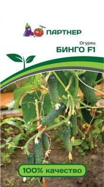 ����� F1 ������