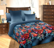 ������� ����� �� ������� 2�� (��������+2 ��������� 50*70) � ������������