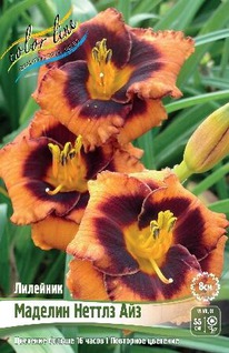 �������� ������� ������ ���