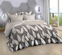 ������� ���������� ����� �� ���� ������� �������