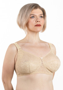 2081 �����������