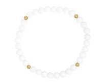 �������, ��������, YNTS002