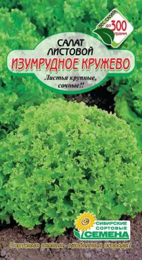 ���������� ������� �� �������� �����