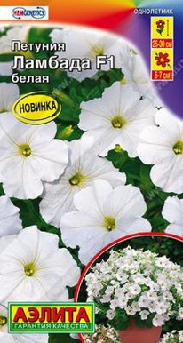 ������� F1 ����� ������� ��������������