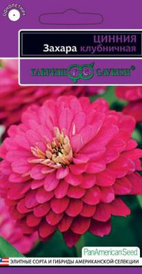 ������ ���������� ������ 5 ��