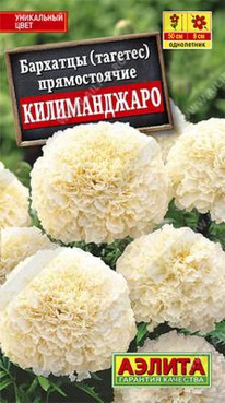 ����������� ��������