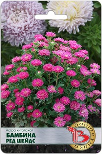 ����� ��������� ������� ��� �����