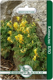 ��������� (��������) ���