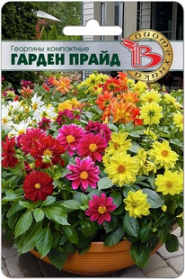 �������� ���������� ������ �����