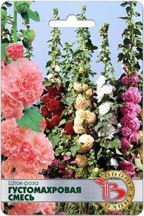 ����-���� �����