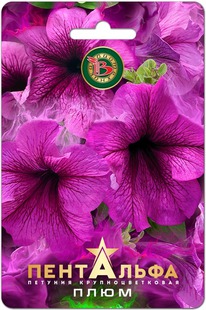 ������� ��������� F1 ����