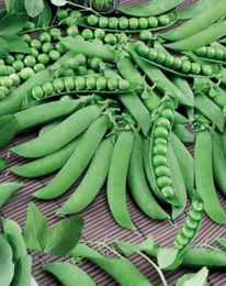 ��������� ������� ����� �������