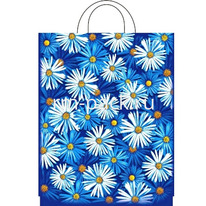 ����� � �������� ������ ��� 28�35 (55 ���) 