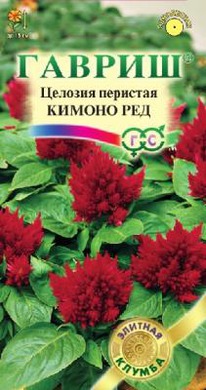 ������ ��� ������� ��������