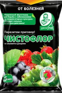 ��������� 5�� ������ � �����-���� ���