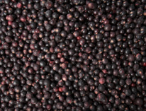 ׸���� ��������� �����������������