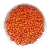 �������� ������ � �����������������