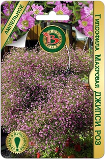 ��������� �������� ������ ���