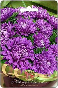 ����� ��������� ��� ���� ��� ���