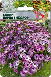 ������������ ����� ����� �������