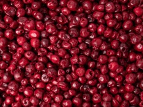 ����� ��� �������� ����� � ����������������