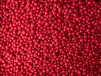 ������� ��������� ����������������