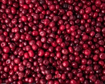 ������ ������� ������� �����������������