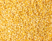 �������� ����� �����������������