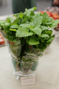 ������ ���� �������� ����� : 0,05�� Gavrish