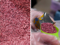 ��������� �����, ������� ������� 35 %