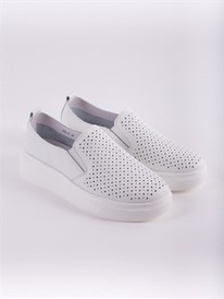 ��������� ���� ����� ��������/ ������� ������� (23L-4)