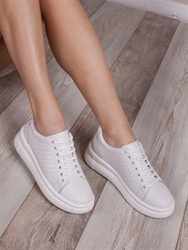 ��������� ���� ����� ��������/ ������� ������� (23F-29)