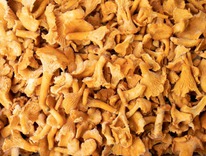 ����� ������� ����� �����������������