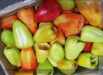 ����� ������� ����� ��� ���������� ������������ 2��