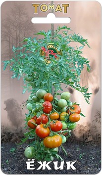 ����� ����