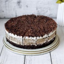 ���� ������ ��� ������ ������� 14 ����