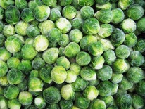 ������� ������������ �����������������