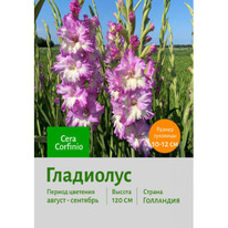 ��������� ���� �������� 5 ��.