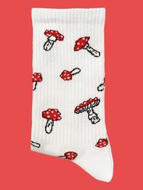 ����� �.40-45 