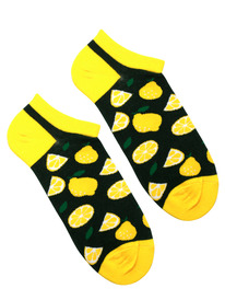 �������� ����� �.37-44 �����