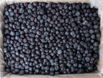 �������� �����������������