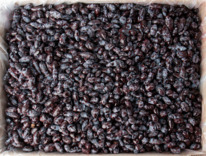 ��������� ������� �����������������