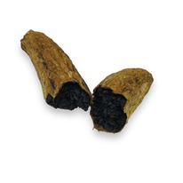 ����  �� ����� ��� � �����