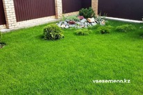 ���� �������� ����� 1 ��