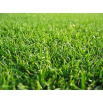 ���������� ���������� (���)  1 ��