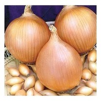 ���-����� ������ 0,5�� (�������)