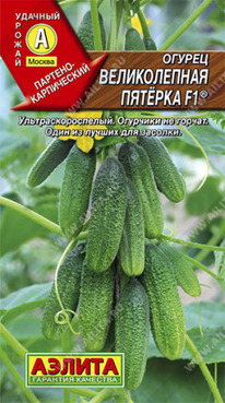 ������ ������������ ������� F1